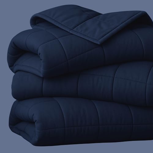 HomeSmart Weighted Blanket King Size 40lb, Ultra Soft Fabric, Heavy Blanket